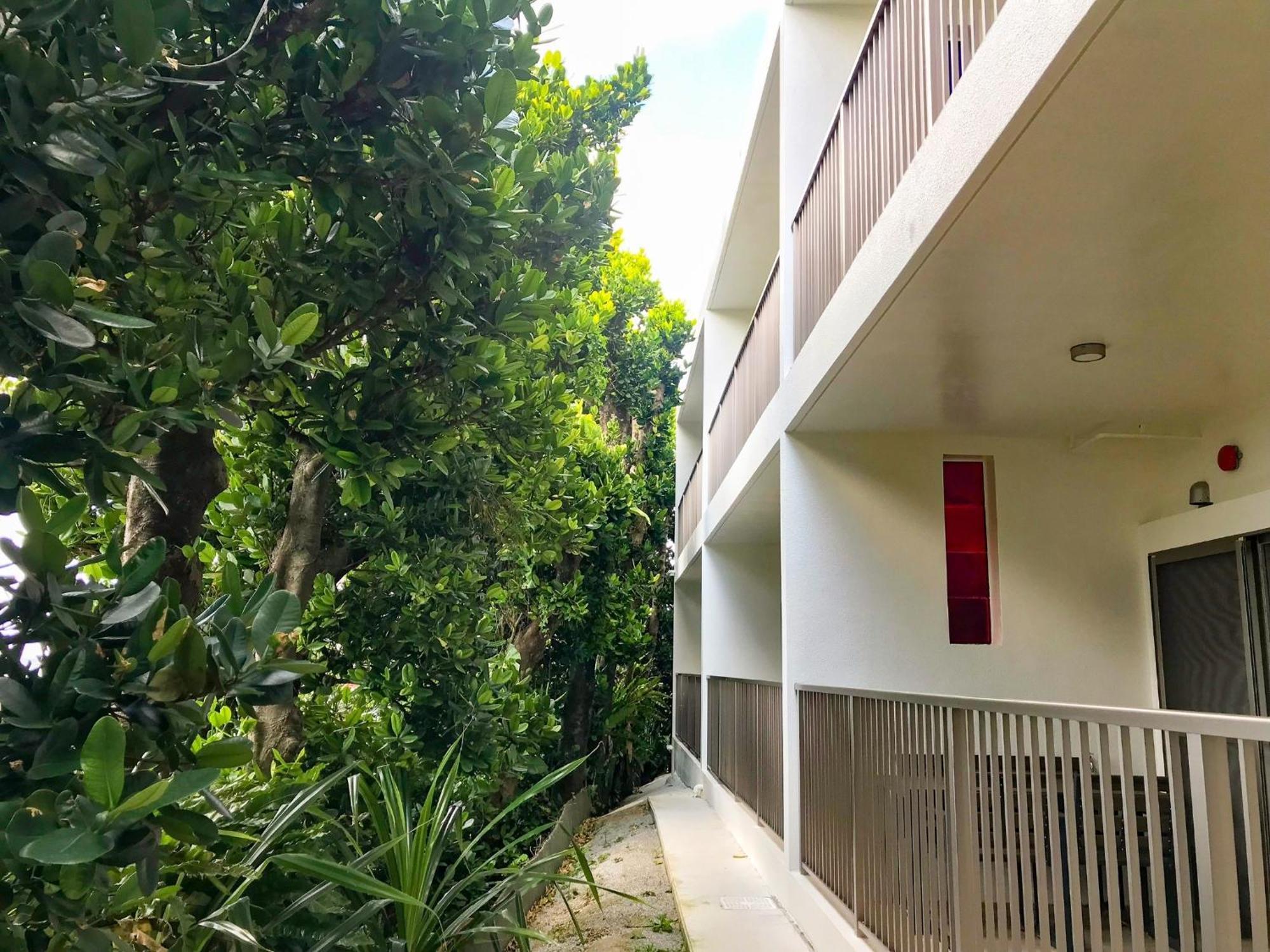 Niruyakanaya Bise - Vacation Stay 36704V Ngoại thất bức ảnh